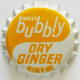 Bubbly Dry Ginger