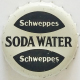 Schweppes Soda Water