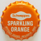 Schweppes Sparkling Orange