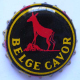 Belge Cavor