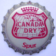 Canada Dry Spur