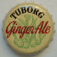 Tuborg_ginger_ale
