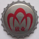 Zhejiang Xinye Silver