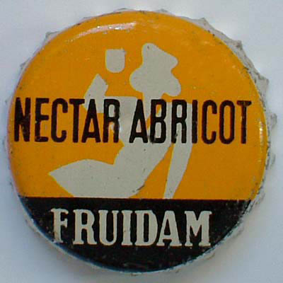 FruidamNectarAbricot