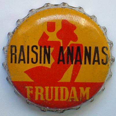 FruidamRaisinAnanas1