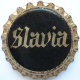 Slavia1
