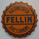 Fellin_1