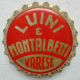 Luini_Montalbetti