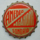 Paganoni