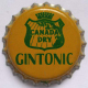 Canada Dry Gin tonic