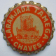Tamega