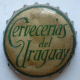 Cervecerias_Uruguay_green